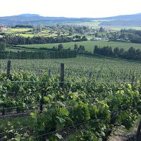 Launceston - Hobart