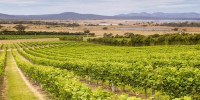 Experience Tasmania’s Sparkling Wines and Culinary Delights in November 2020