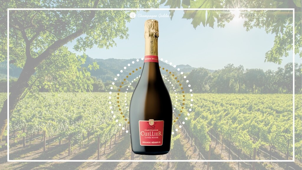Champagne Cuillier Cuvée Rouge Grande Reserve champagne bottle with a vineyard background